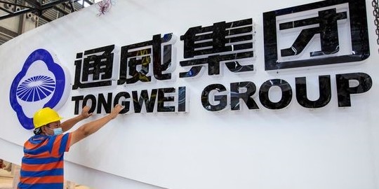 Tongwei anuncia investimento de US$ 3,9 bilhões para aumentar a produção de silício